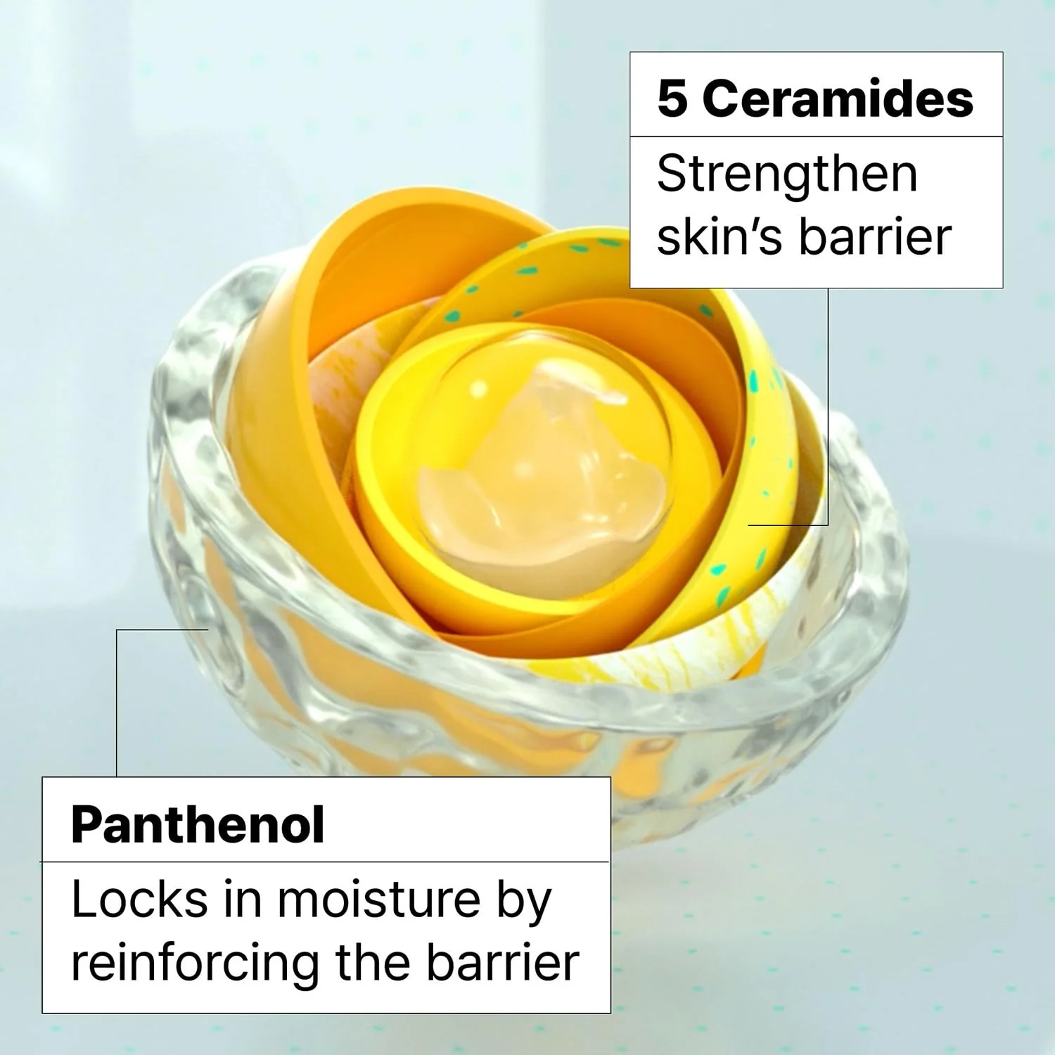 DR JART Ceramidin Skin Barrier Moisturizing Cream 50ml - Image 4