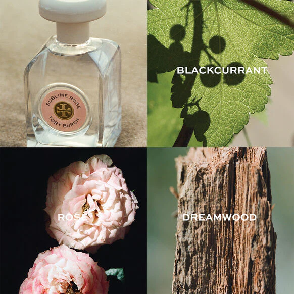 TORY BURCH Sublime Rose EDP 90ml - Image 5